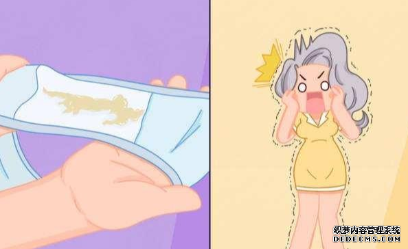 阴道分泌物检测仪